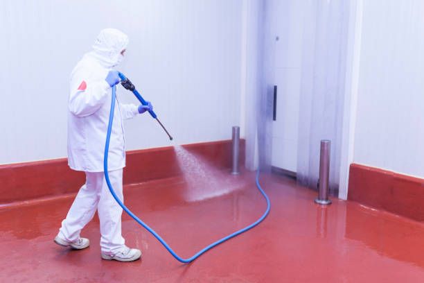 Best Patio and Deck Pressure Washing  in Shorewood Forest, IN