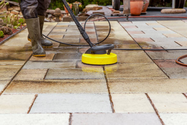 Best Paint Preparation  in Shorewood Forest, IN