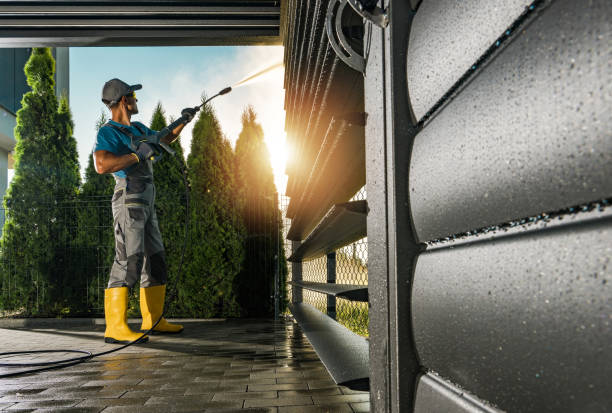 Best Graffiti Removal  in Shorewood Forest, IN