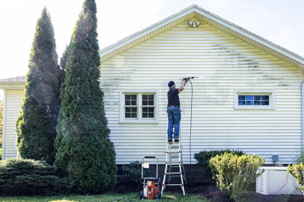 Best Solar Panel Cleaning  in Shorewood Forest, IN